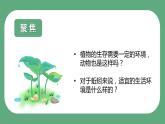 第四节 蚯蚓的选择（课件）-教科版五年级科学下册