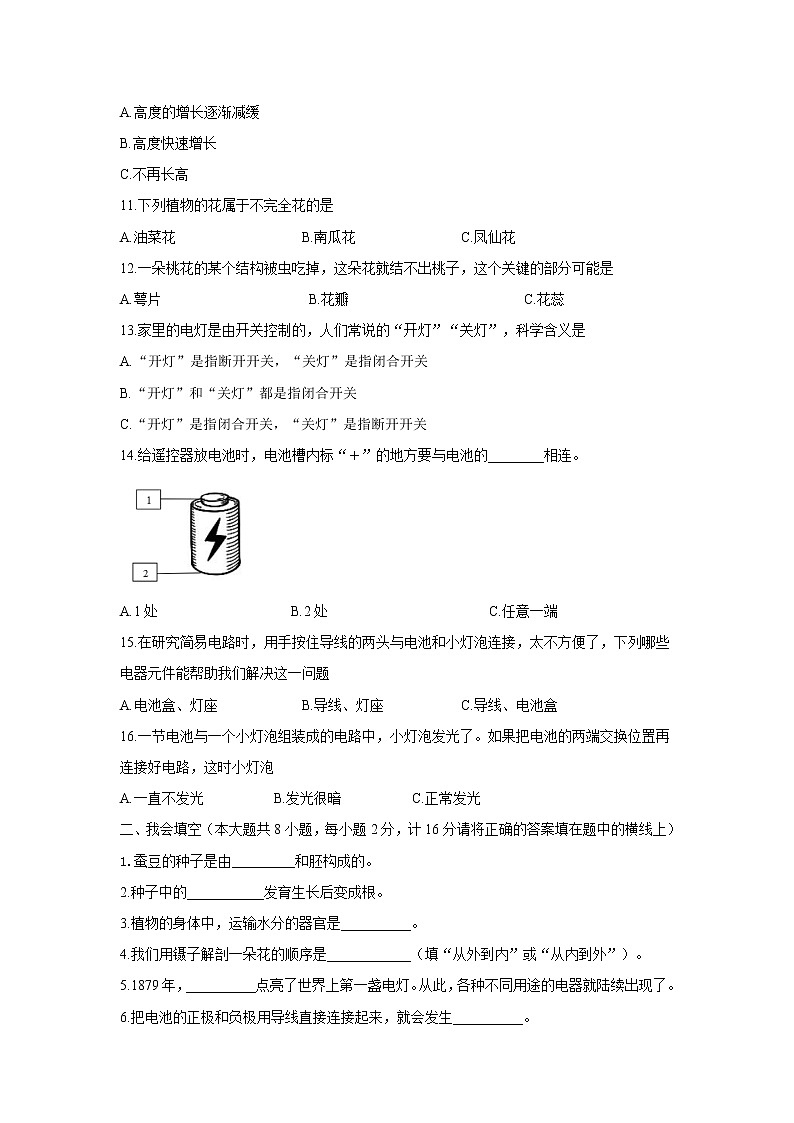 四年级下册科学期中检测卷（新教科版）（含答案）第2页