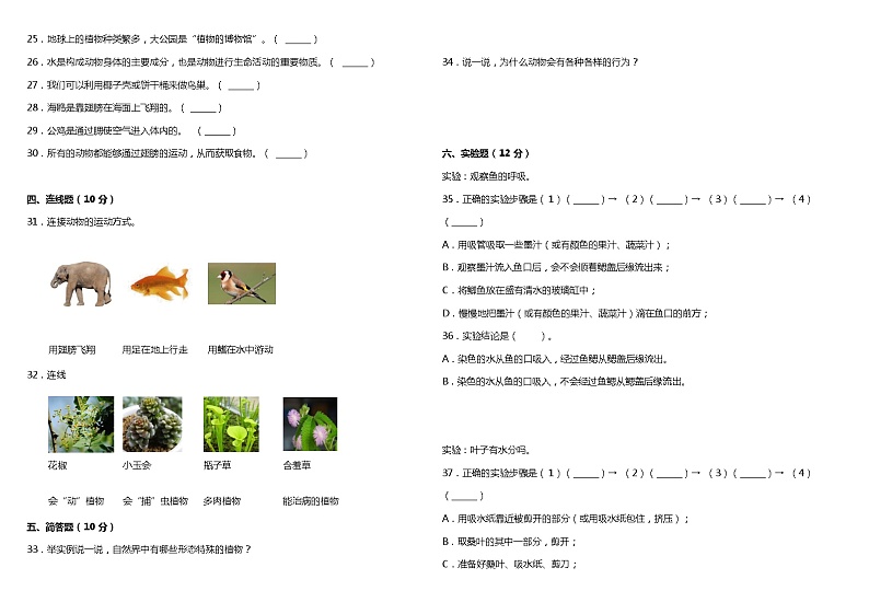 粤教版小学科学四年级下册期中检测卷3（含答案）第2页