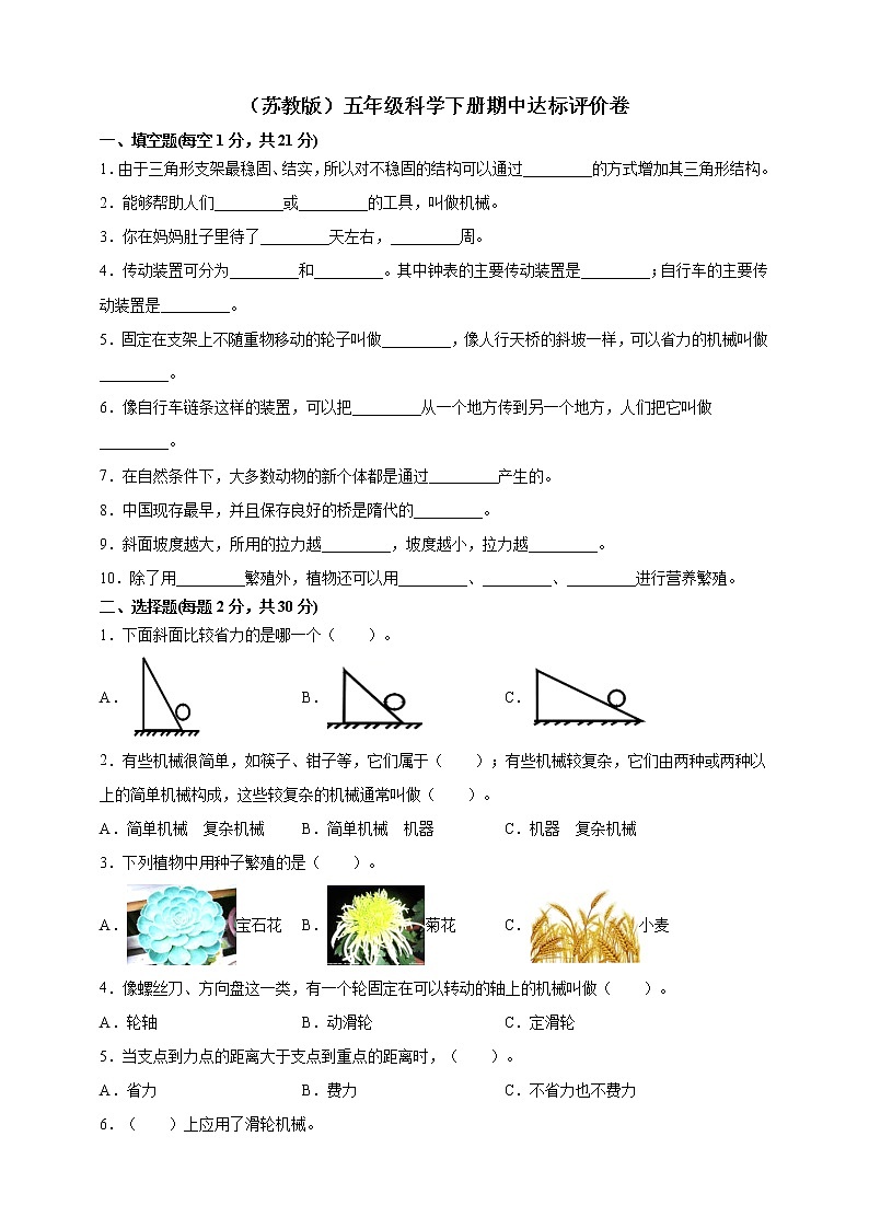 苏教版小学科学五年级下册期中测试卷3（含答案）01