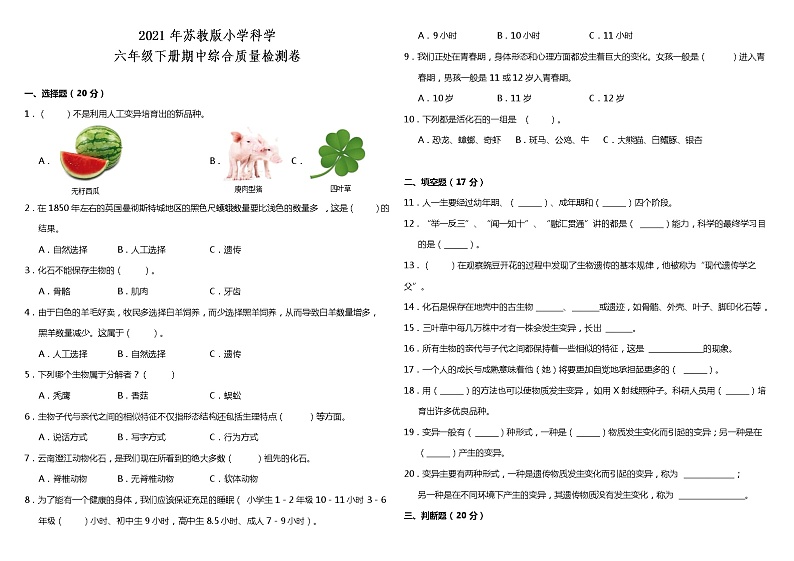 2021苏教版小学科六年级下册期中测试卷2（含答案）01