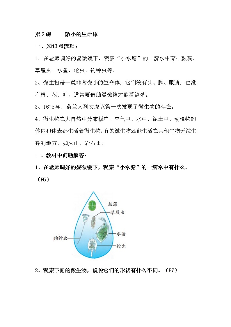 2022-2023学年苏教版科学五年级下册单元复习讲义：第一单元 显微镜下的世界（知识点清单）03