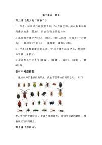 2022-2023学年苏教版科学四年级下册单元复习讲义：第三单元  昆虫（知识点清单）
