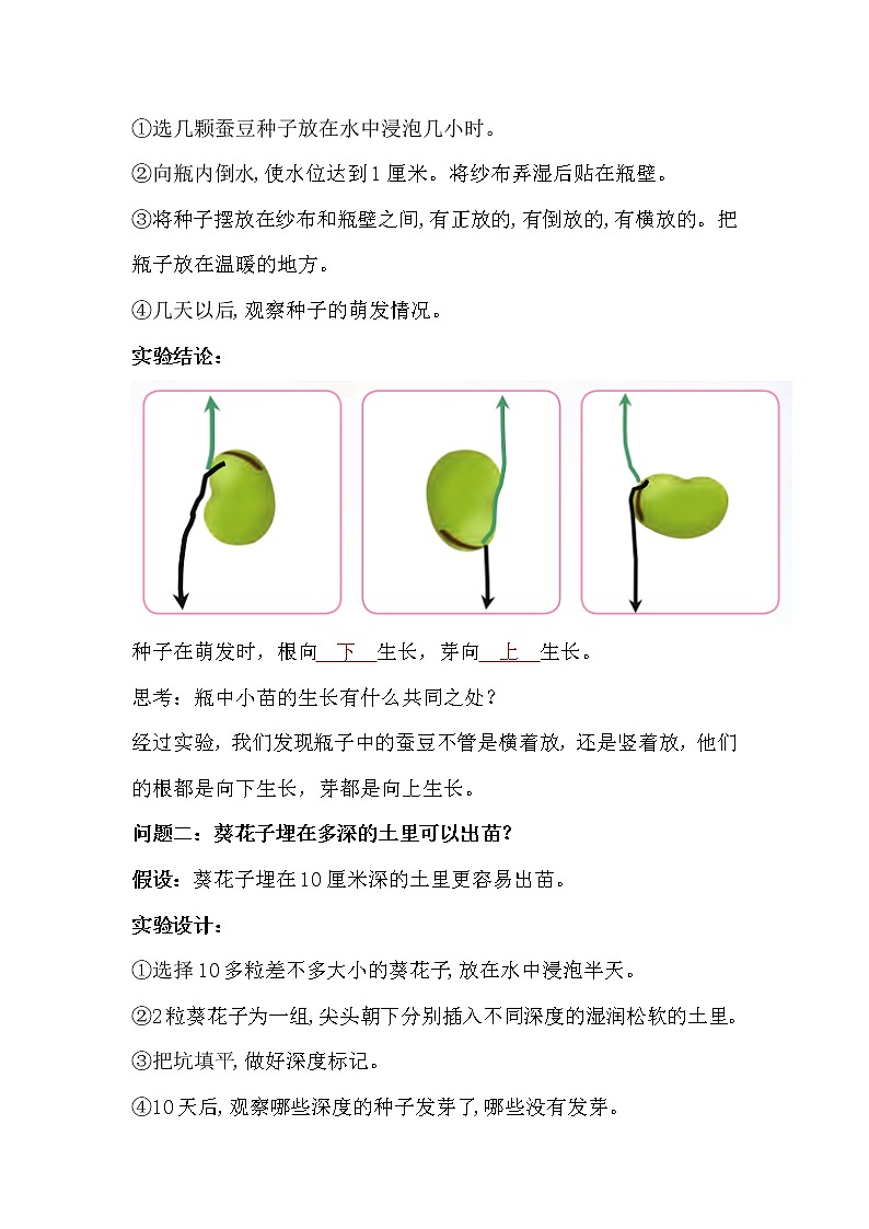 2022-2023学年苏教版科学四年级下册单元复习讲义：第四单元 繁殖（知识点清单）02