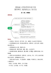 2022-2023学年青岛版科学四年级下册单元复习讲义：第四单元 植物的生长（知识点清单）