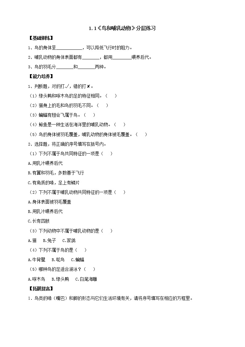 【人教鄂教版】四上科学 1.1《鸟和哺乳动物》（课件+教案+练习）01