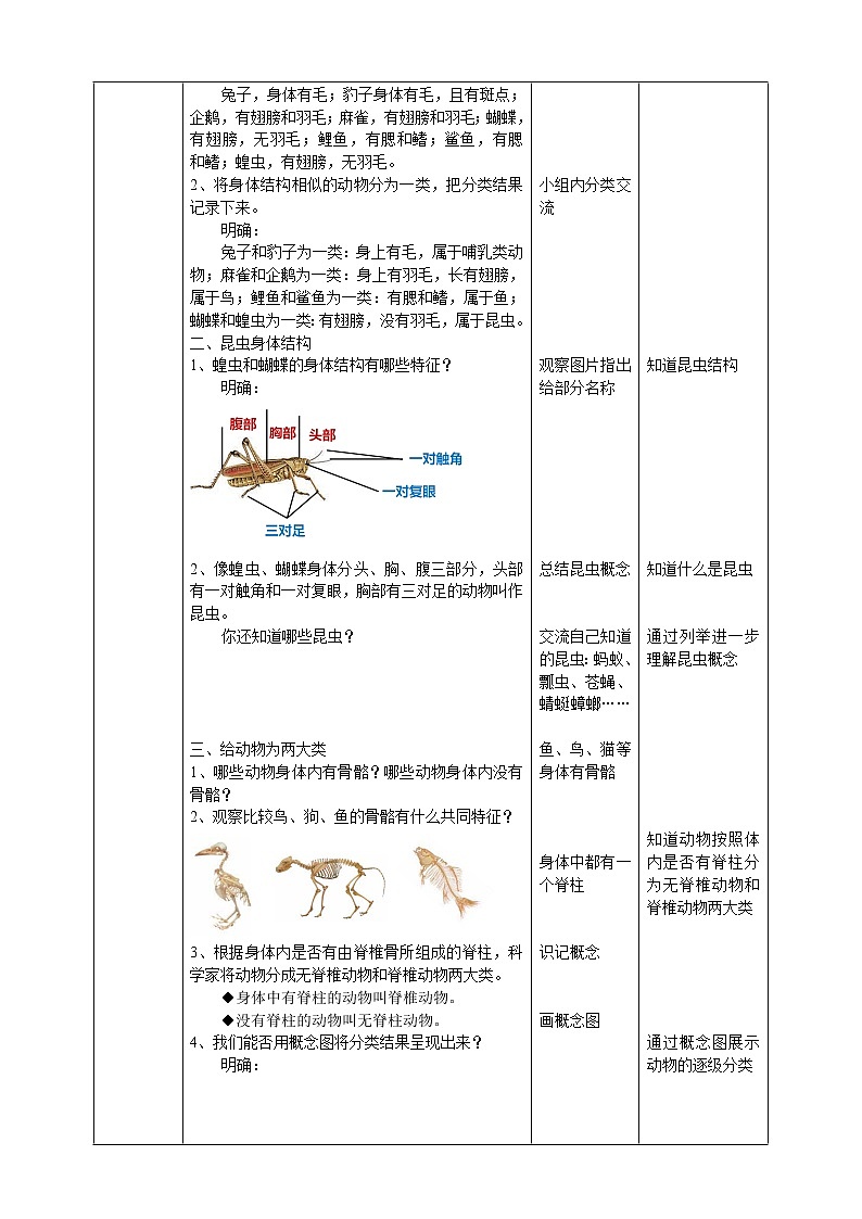 【人教鄂教版】四上科学 1.2《动物的分类》（课件+教案+练习）02