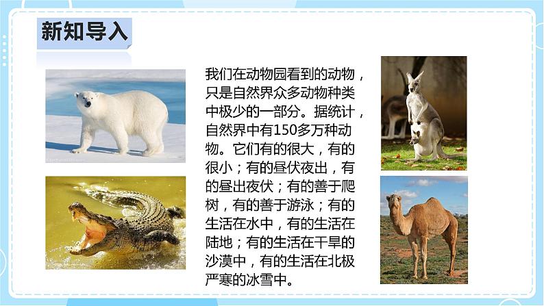 【人教鄂教版】四上科学 1.2《动物的分类》（课件+教案+练习）03