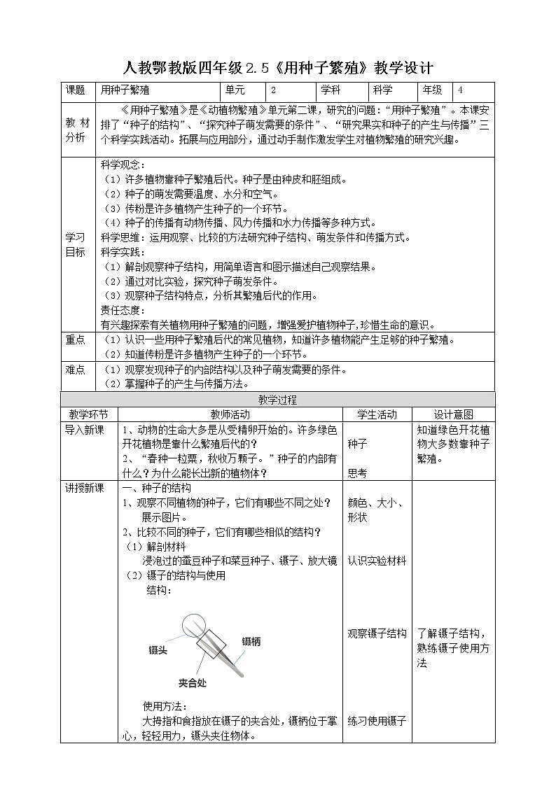 【人教鄂教版】四上科学 2.5《用种子繁殖》（课件+教案+练习）01
