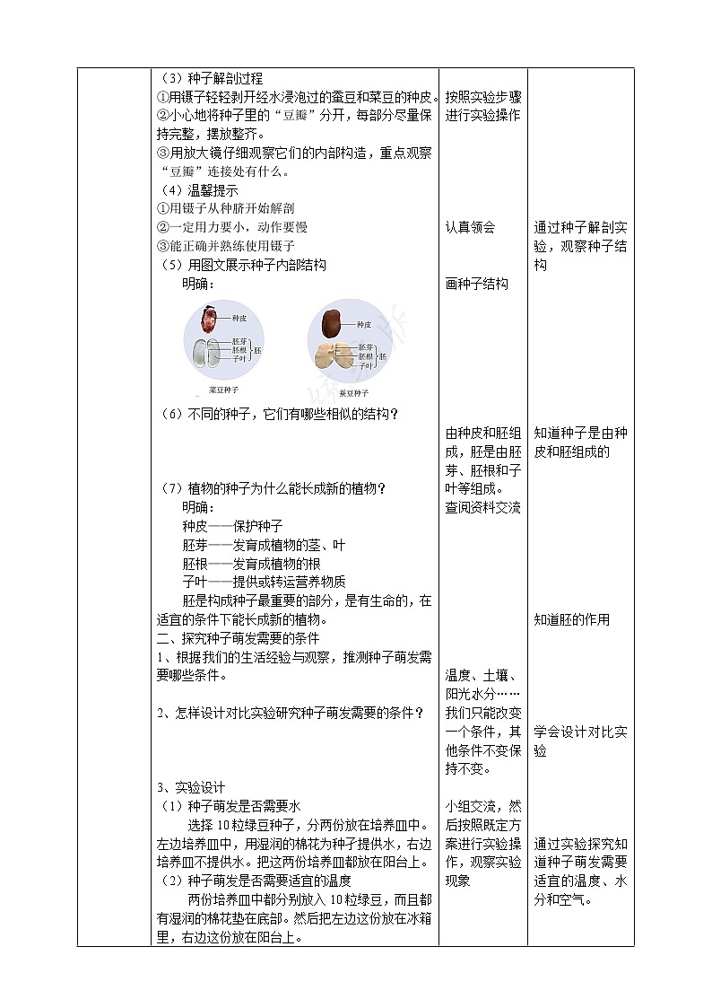 【人教鄂教版】四上科学 2.5《用种子繁殖》（课件+教案+练习）02