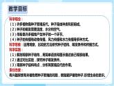 【人教鄂教版】四上科学 2.5《用种子繁殖》（课件+教案+练习）