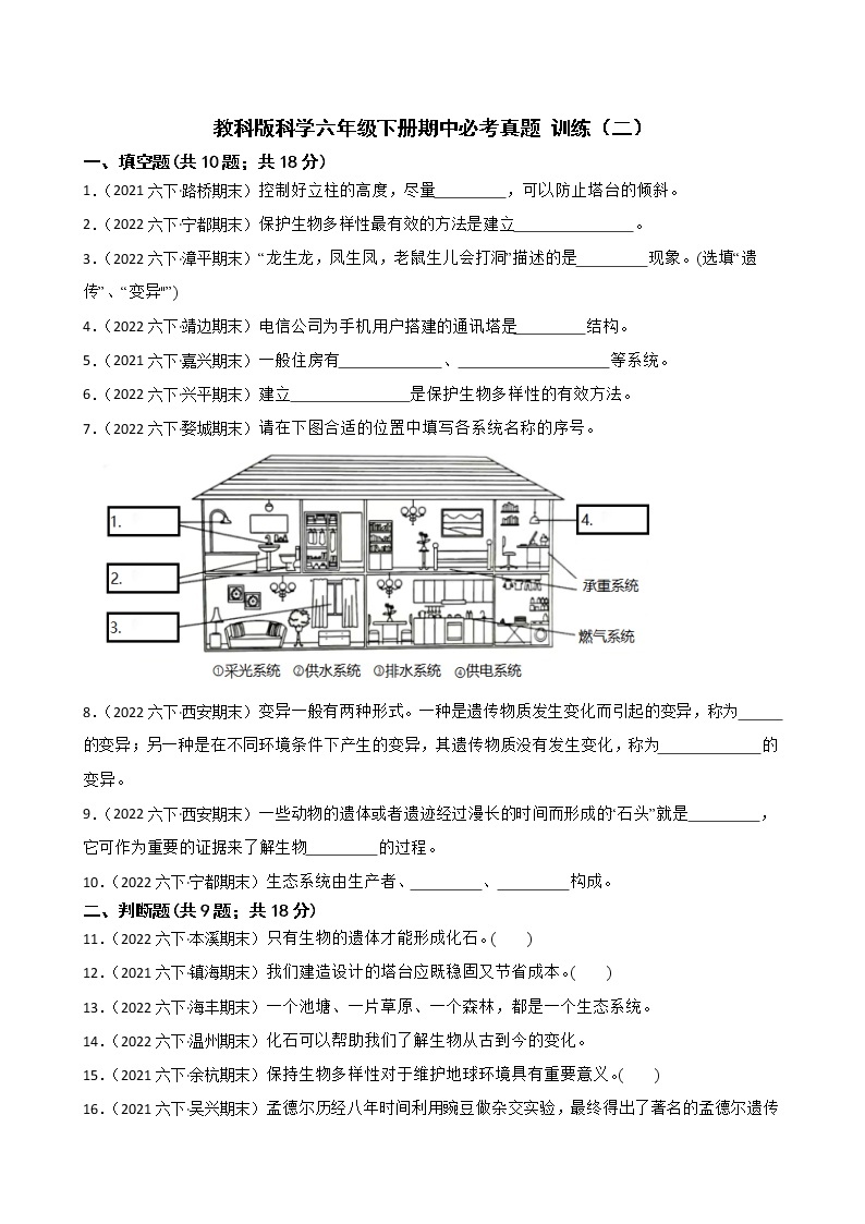 教科版小学科学六年级下册期中真题训练卷2（含答案）01