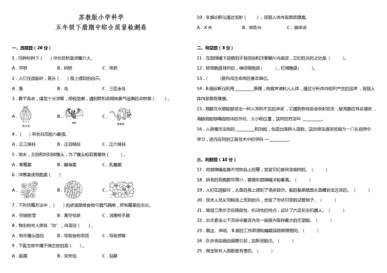 苏教版小学科学五年级下册期中测试卷5（含答案）01