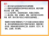 【冀人版】六下科學(xué)6.22《仿生建筑模型大比拼（三）》課件+教案