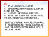 【冀人版】六下科学6.22《仿生建筑模型大比拼（三）》课件+教案