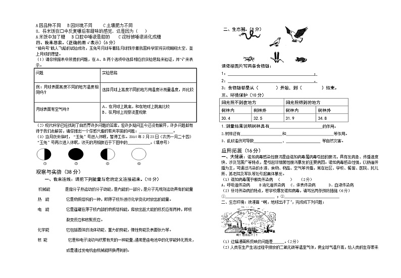 湘科版小学科学六年级下册期考试卷1（含答案）第2页