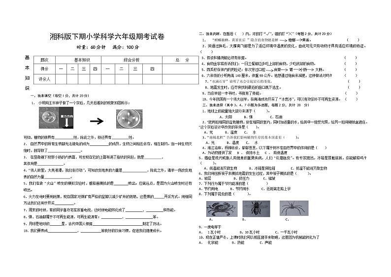 湘科版小学科学六年级下册期考试卷4（含答案）01