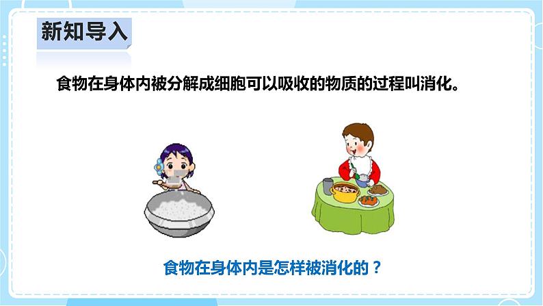 【人教鄂教版】三上科学  1.3《食物的消化》（课件+教案+练习）05