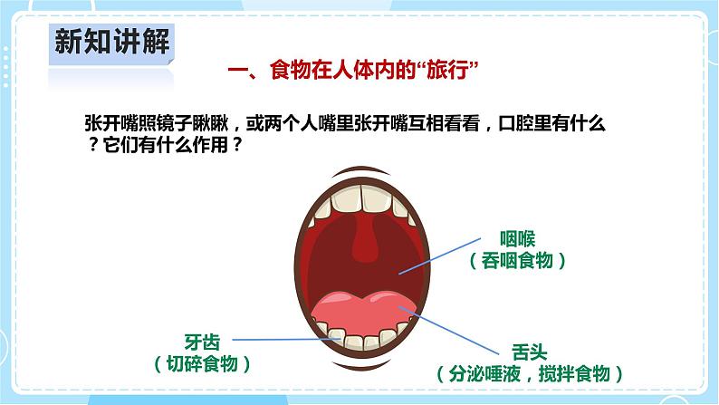 【人教鄂教版】三上科学  1.3《食物的消化》（课件+教案+练习）06