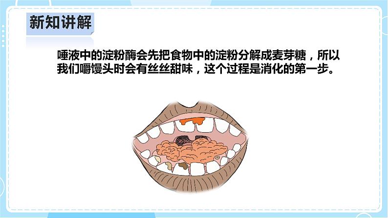 【人教鄂教版】三上科学  1.3《食物的消化》（课件+教案+练习）08