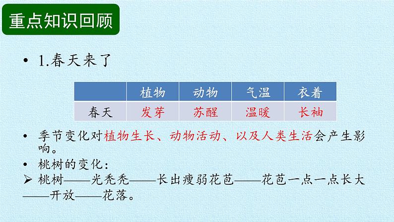 冀人版小学科学二年级下册复习课件：第2单元 春和夏03