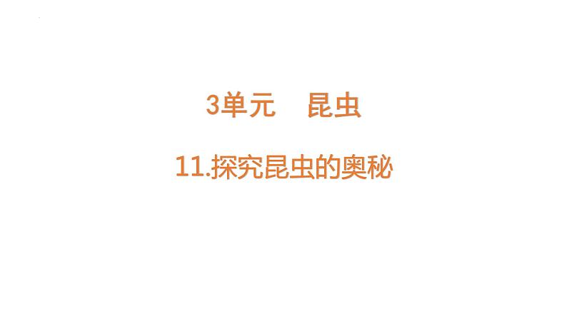 [苏教版四年级下册科学3.11探究昆虫的奥秘（课件）01