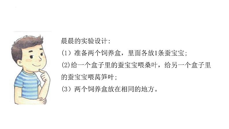 [苏教版四年级下册科学3.11探究昆虫的奥秘（课件）04