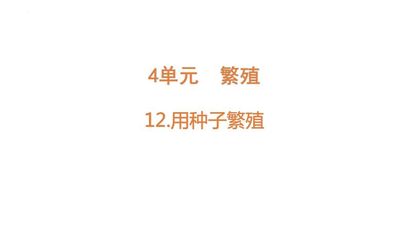 [苏教版四年级下册科学4.12用种子繁殖（课件）01