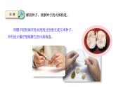 [蘇教版四年級(jí)下冊(cè)科學(xué)4.12用種子繁殖（課件）