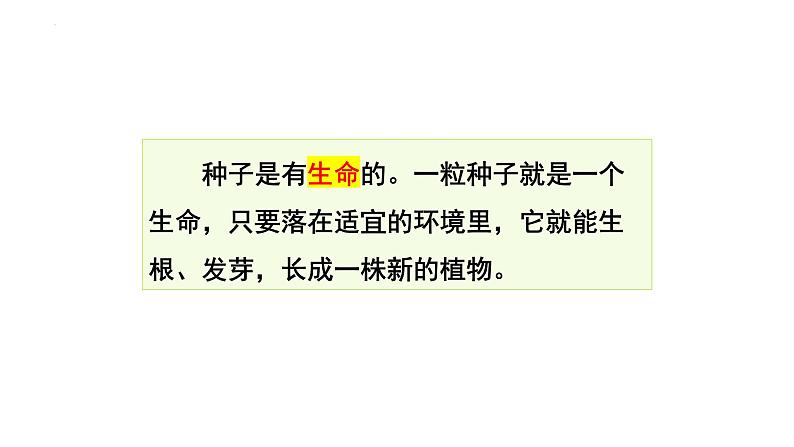 [苏教版四年级下册科学4.12用种子繁殖（课件）03