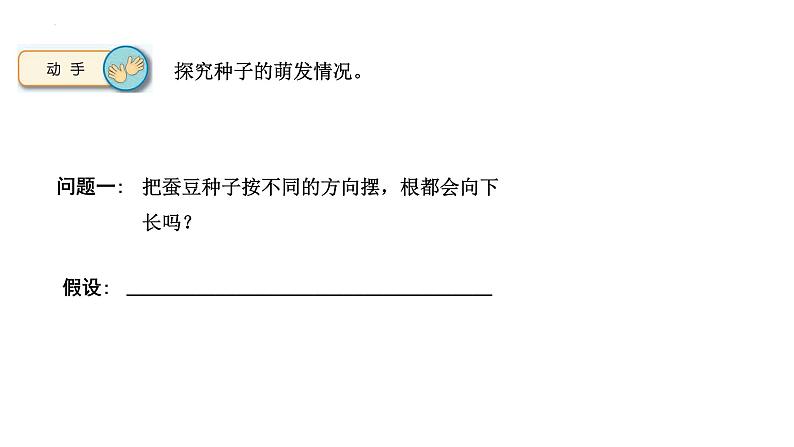 [苏教版四年级下册科学4.12用种子繁殖（课件）06