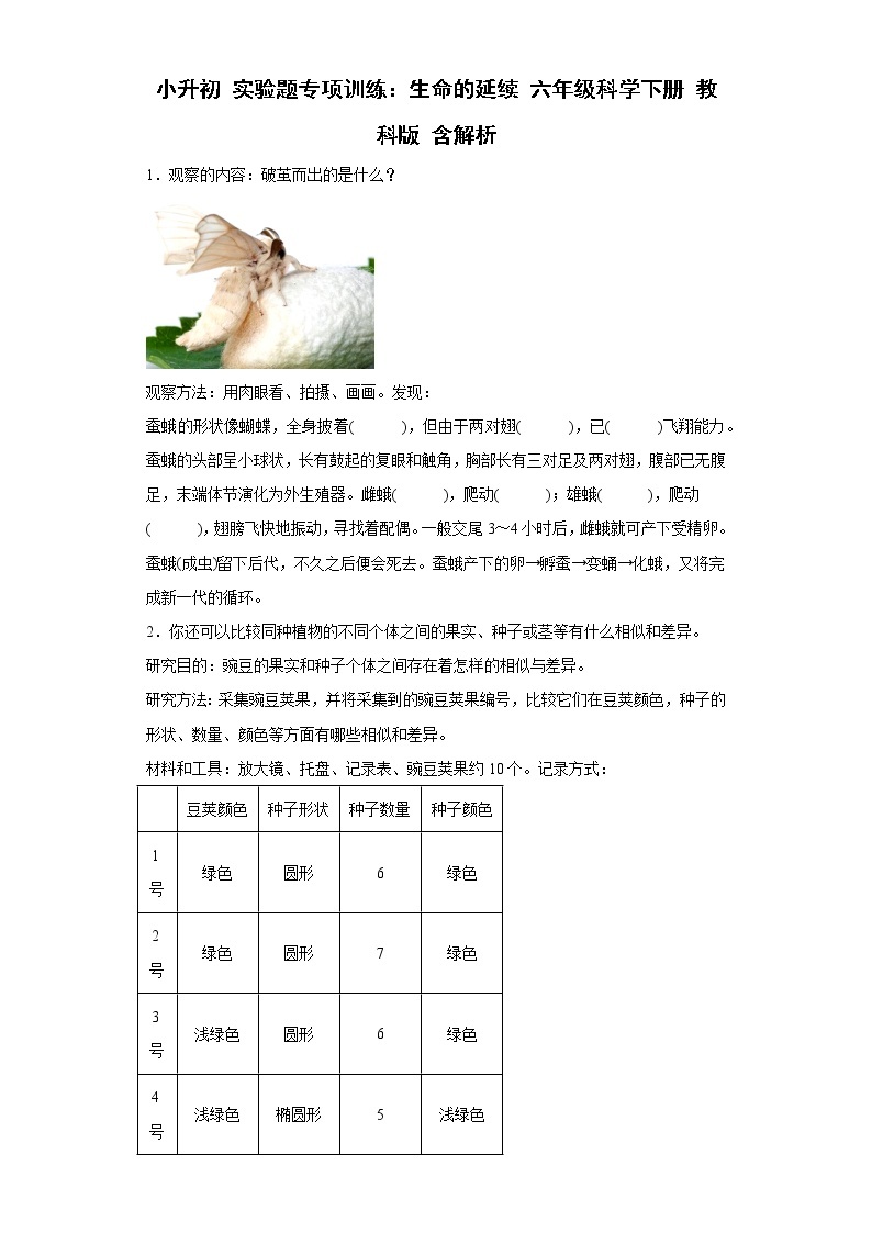 小升初 实验题专项训练：生命的延续 六年级科学下册+答案解析（教科版）01