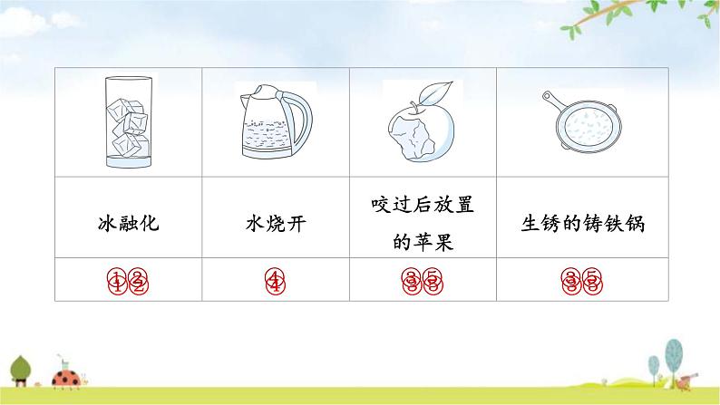 教科版六年级科学下册第4单元第1课时厨房里的物质与变化教学课件第8页