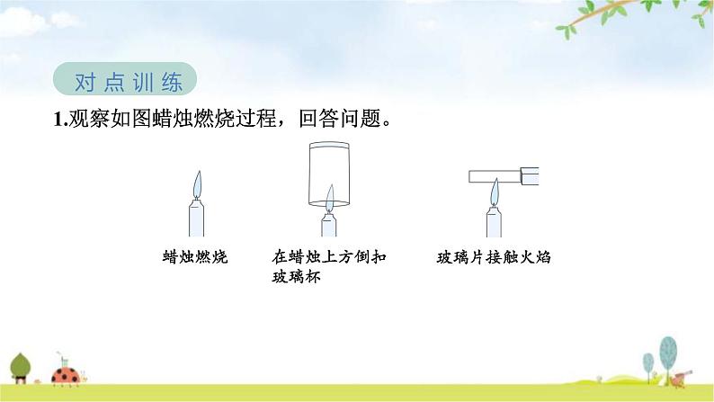 教科版六年级科学下册第4单元第3课时发现变化中的新物质教学课件+课时学案04