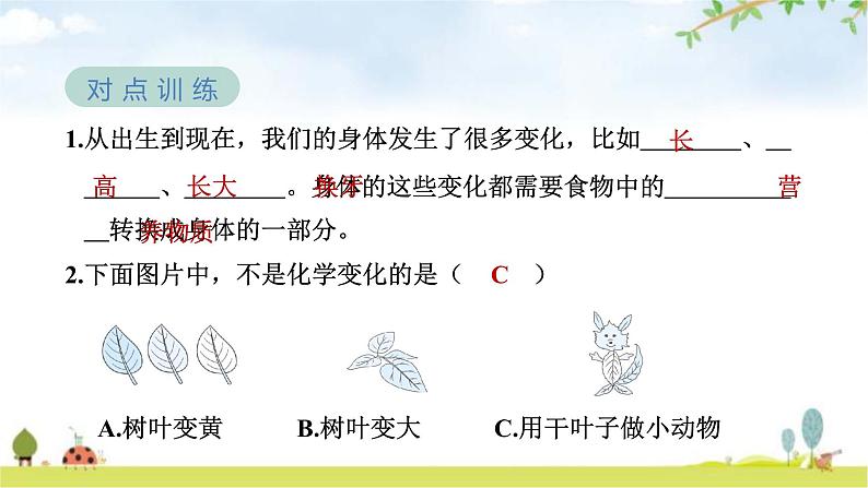 教科版六年级科学下册第4单元第6课时生命体中的化学变化教学课件第5页