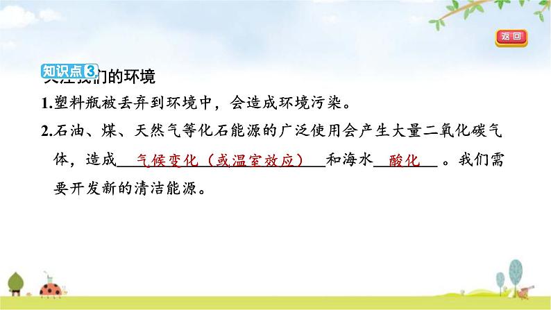 教科版六年级科学下册第4单元第7课时美丽的化学变化教学课件第5页