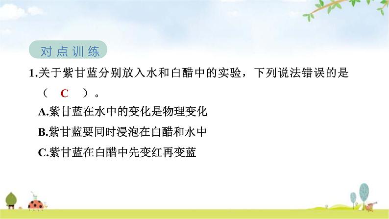 教科版六年级科学下册第4单元第7课时美丽的化学变化教学课件第6页