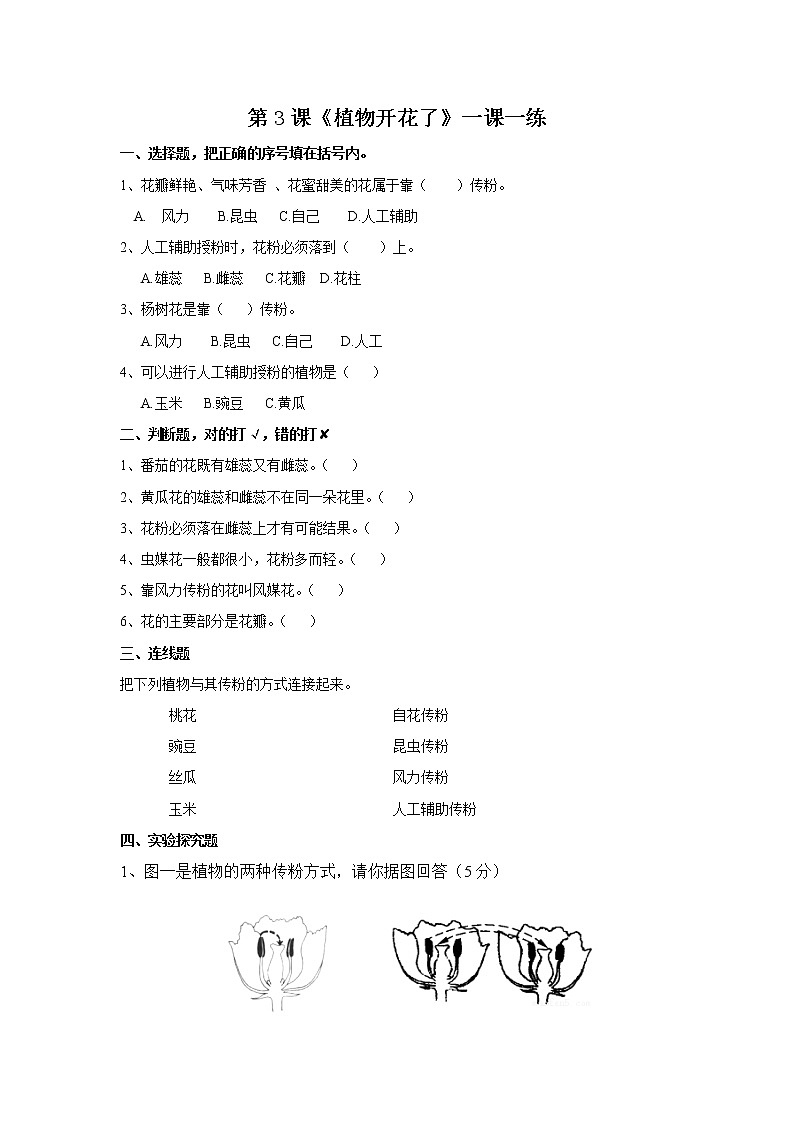 扬州市新苏教版三年级下册科学第3课时《植物开花了》课后练习+答案第1页