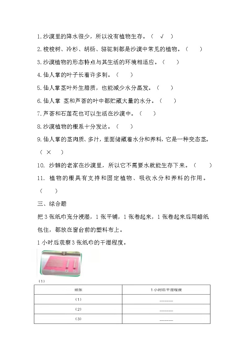 扬州市新苏教版三年级下册科学第6课时《沙漠中的植物》课后练习+答案02
