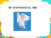 2.2《鸟类的特征》课件PPT