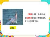2.5《珍稀动物》课件PPT
