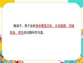 大象版科学三上 第二单元复习（课件PPT）