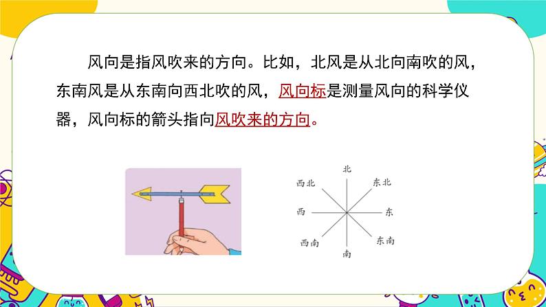 大象版科学三上 第一单元复习（课件PPT）05