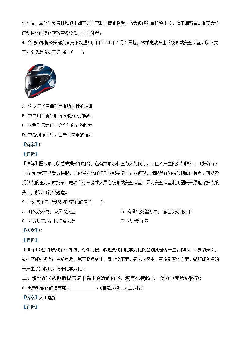 2021-2022学年安徽省合肥市庐江县教科版六年级下册期末教学质量抽测科学试卷（解析版）第2页