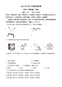 【小升初真题卷】2021-2022学年安徽省合肥市蜀山区教科版六年级下册期末考试科学试卷（原卷版+解析版）