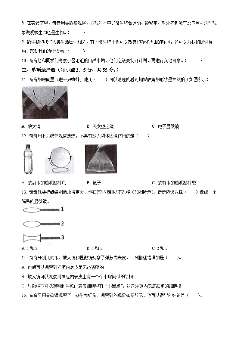 【小升初真题卷】2021-2022学年广东省深圳市宝安区教科版六年级下册期末考试科学试卷（原卷版+解析版）02