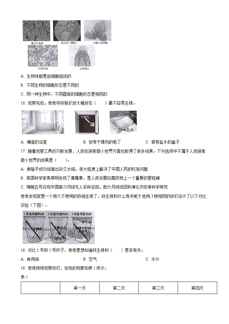 【小升初真题卷】2021-2022学年广东省深圳市宝安区教科版六年级下册期末考试科学试卷（原卷版+解析版）03