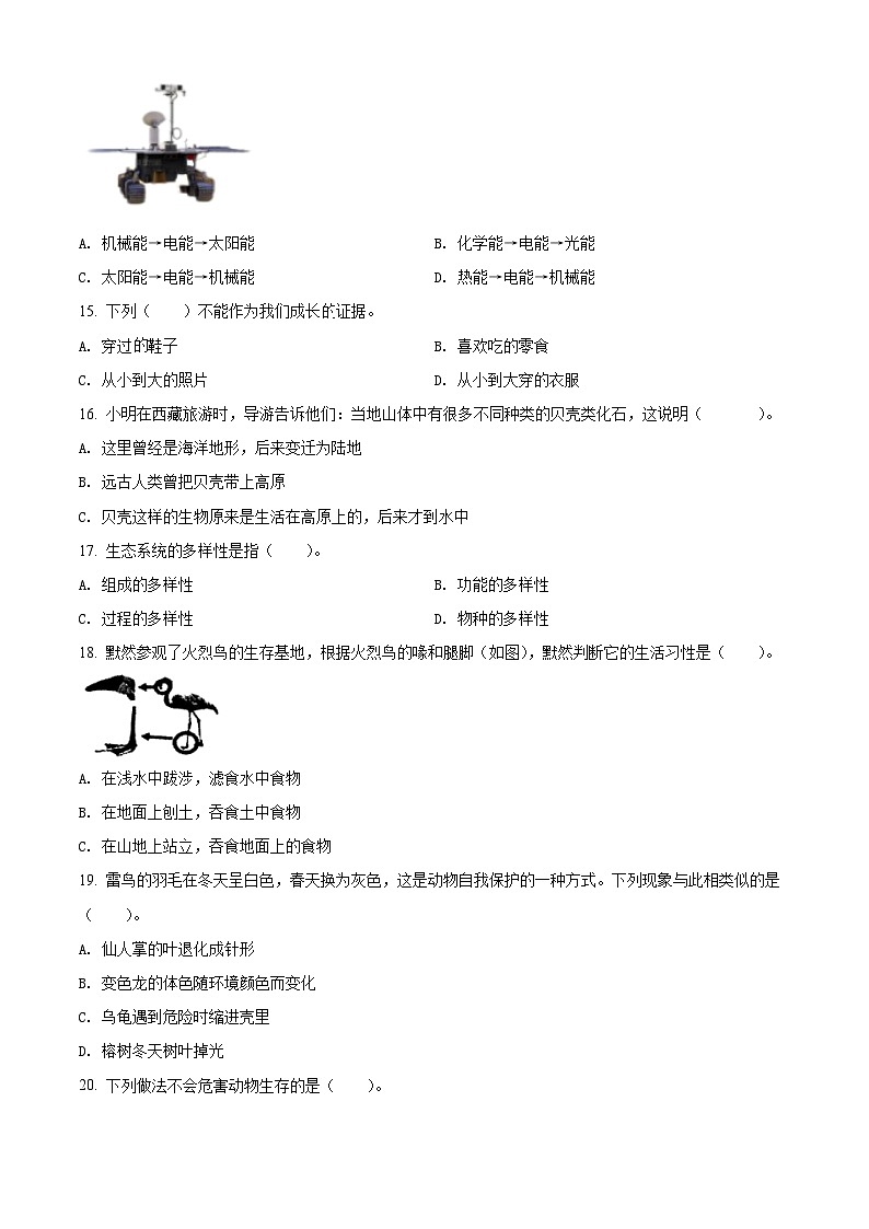 2021-2022学年广东省韶关市新丰县苏教版六年级下册期末考试科学试卷（原卷版）第3页