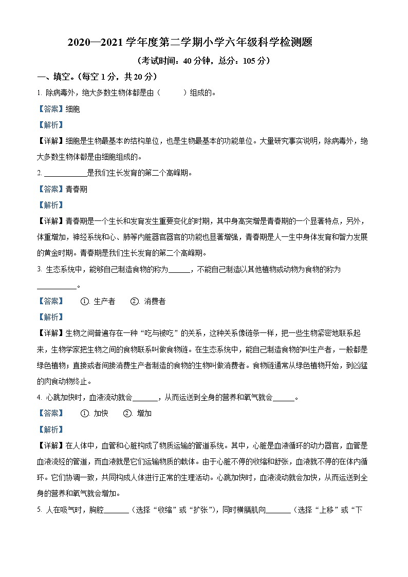 【小升初真题卷】2020-2021学年河北省承德市双桥区冀人版六年级下册期末考试科学试卷（原卷版+解析版）01