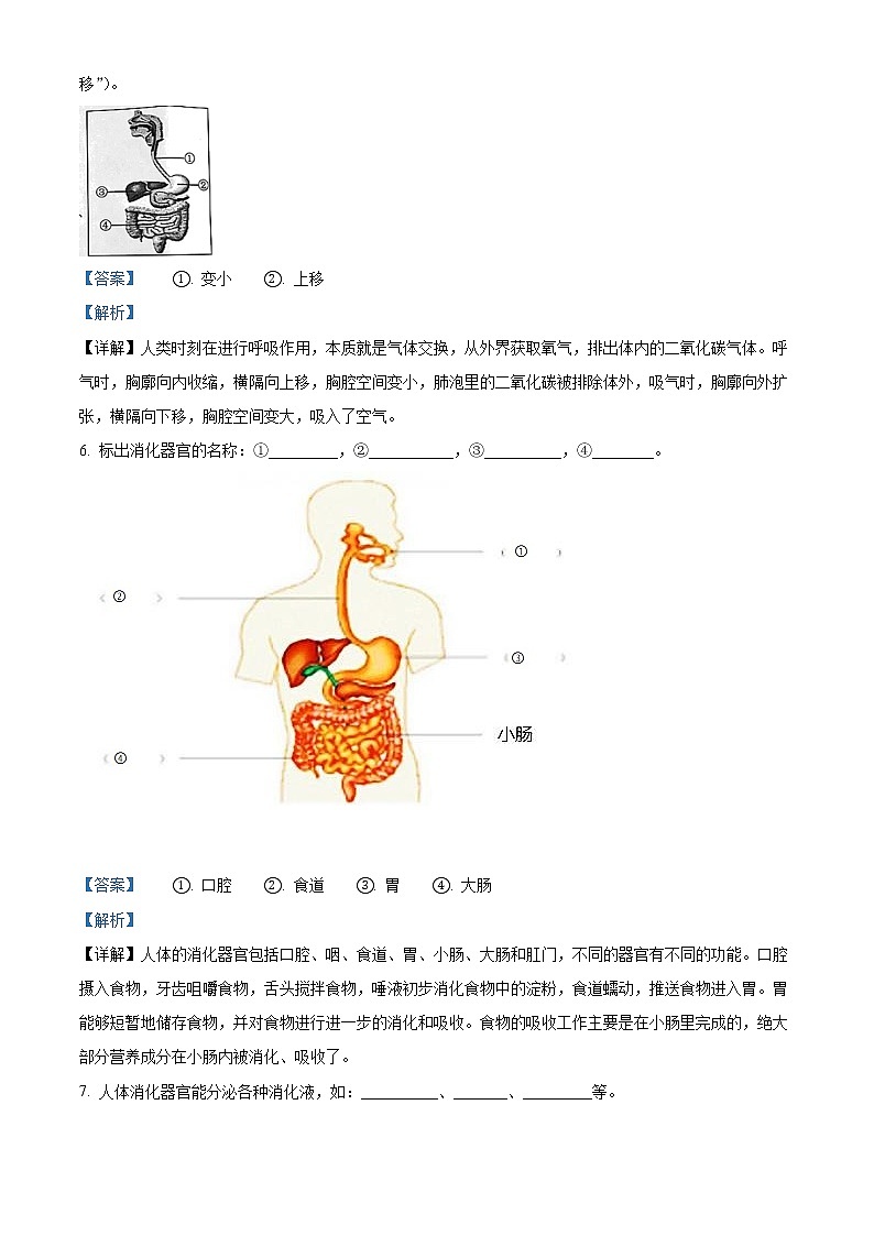 【小升初真题卷】2020-2021学年河北省承德市双桥区冀人版六年级下册期末考试科学试卷（原卷版+解析版）02